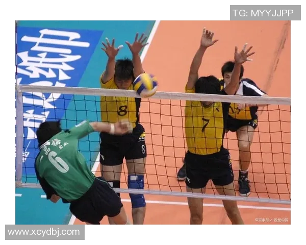 聚焦排球：探讨北京排球队员个人能力提升与团队协作的关系