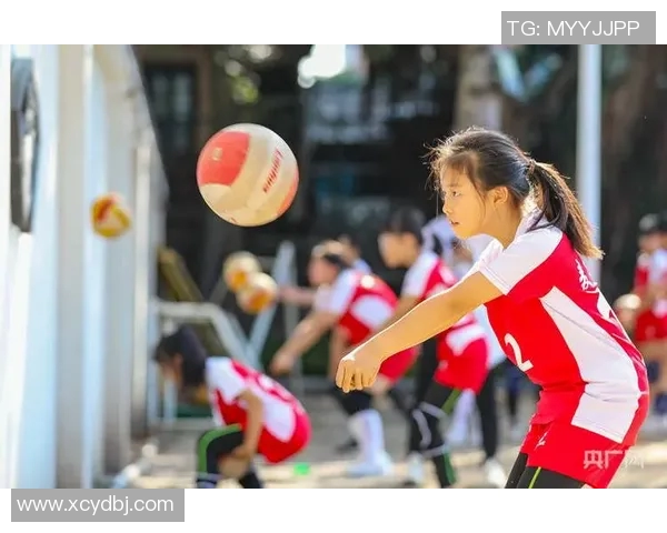 赵丽独家分享排球心得与技巧助你提升运动水平和比赛表现