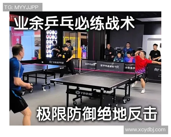 乒乓球战术解析：深入剖析杭州乒乓球队的防守反击策略