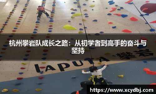 杭州攀岩队成长之路：从初学者到高手的奋斗与坚持