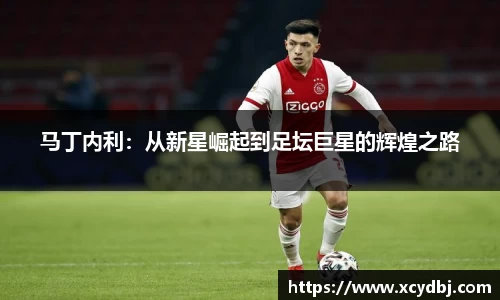 马丁内利：从新星崛起到足坛巨星的辉煌之路