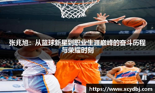星空体育网站入口