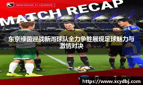 东京绿茵迎战新泻球队全力争胜展现足球魅力与激情对决