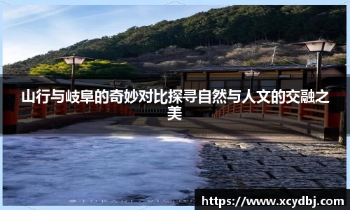 芒果体育